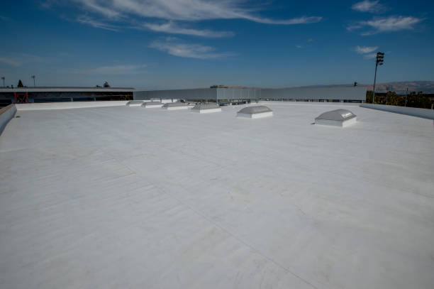 Best Roof Coating and Sealing  in Perrysburg, OH