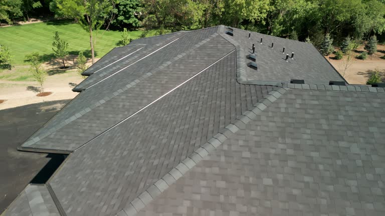 Best Roof Moss and Algae Removal  in Perrysburg, OH