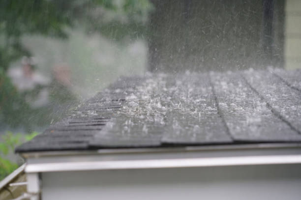Best Solar Panel Roofing Installation  in Perrysburg, OH