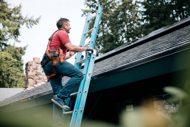 Best Rubber Roofing (EPDM, TPO)  in Perrysburg, OH